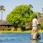 Delta Camp's mokoro trips depart directly from camp