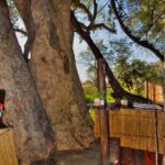 An outdoor shower at Delta Camp