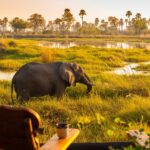 View from a guest tent at Delta Camp across the Okavango