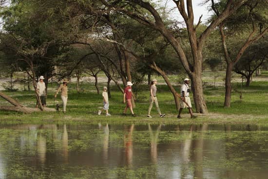 Young explorers on a bush walk in the Delta