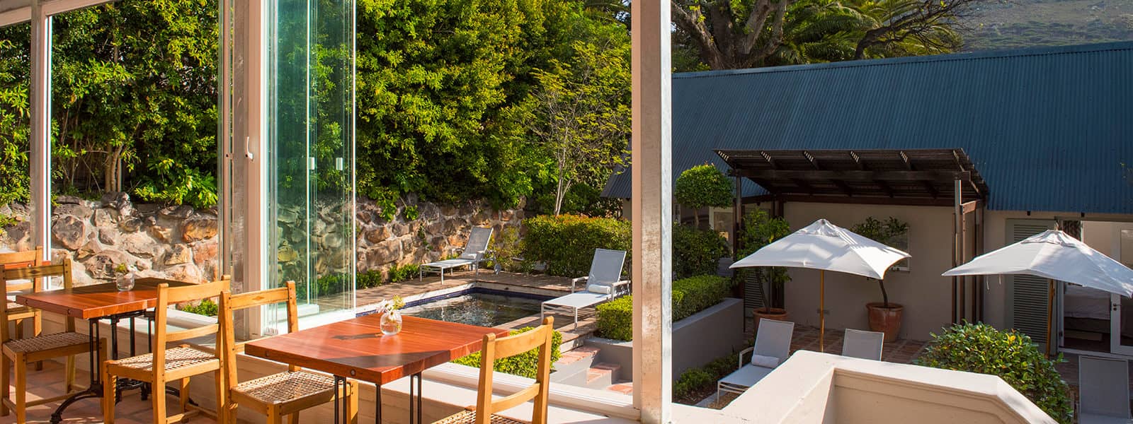 Four Rosmead garden through glass view