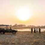 Game drives are also offers at OHS for a comprehensive safari experience