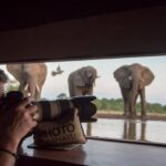 The photographic hide at Mashatu offers a unique perspective