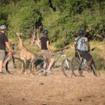Admiring the wildlife while on a cycling safari at Mashatu