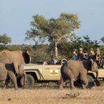 Game drives are part of the daily experience at Mashatu Tented Camp