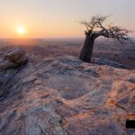 Views over the plains of Mashatu Reserve