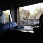 Sightings at the photo hide are always exciting at Mashatu