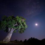 Dazzling skies around Mashatu