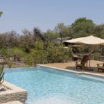 Cooling waters of the pool at Mashatu