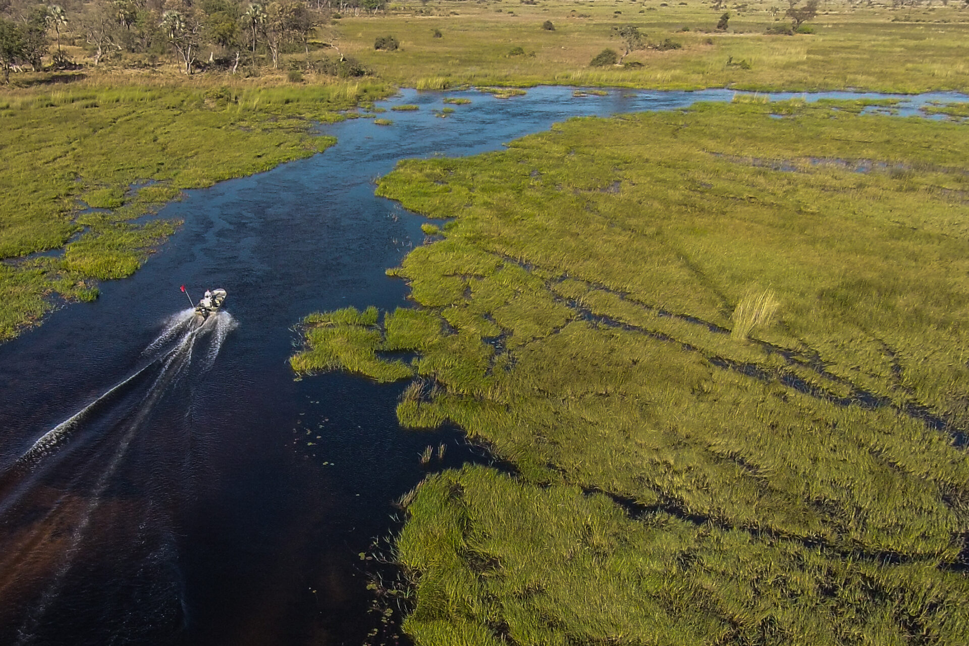 Aerial view of a boat traveling through winding water channels surrounded by lush green floodplains at Moremi Crossing.
