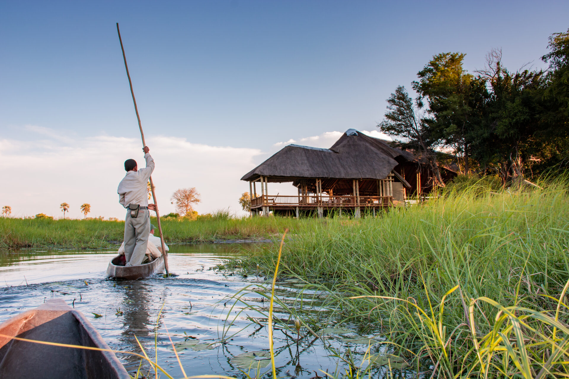 Guide poling a mokoro canoe through reeds with Moremi Crossing lodge in the background.