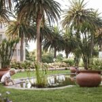 Child at play in the Mount Nelson gardens