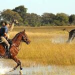 Okavango Horse Safaris guest rider canters behind a giraffe in the delta