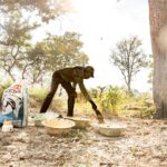 Safari camp staff preparing horse feed in a woodland setting in the Okavango Delta.