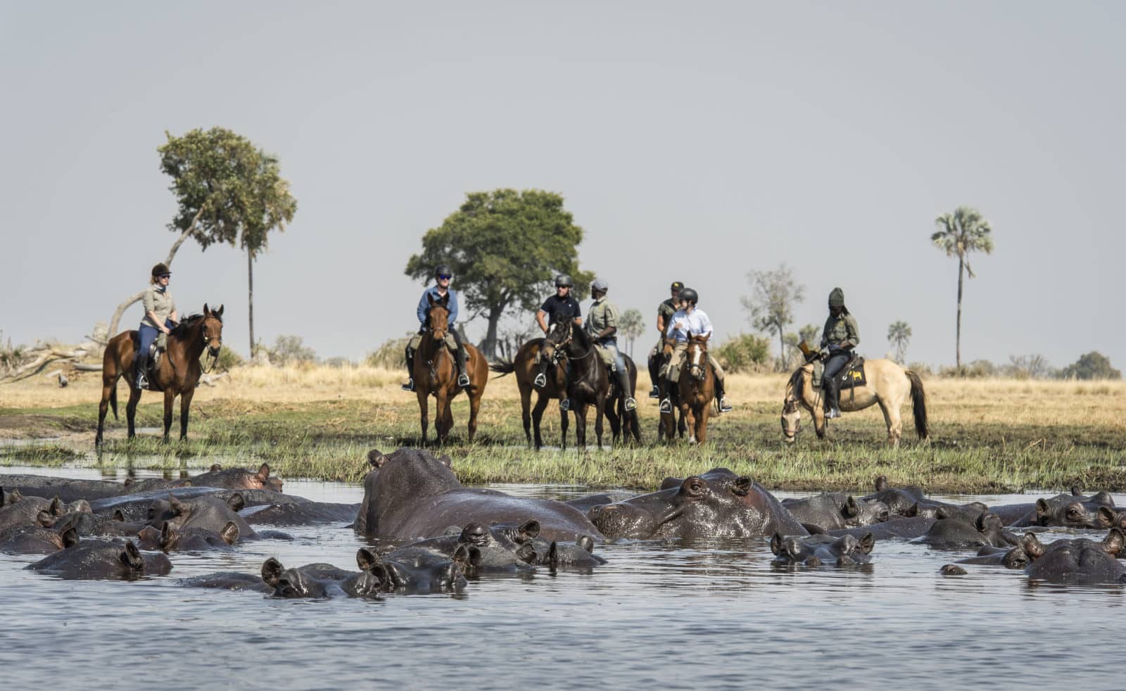 Okavango Horse safari crossing water
