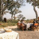 Lunch picnics on longer day rides with okavango horse safaris