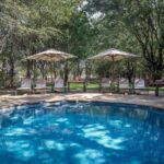 Mashatu's swimming pool offers respite from the heat in summer