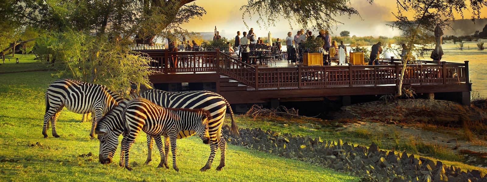 The sun deck at Royal Livingstone Hotel with zebra in the foreground