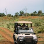 Enjoy game drives in the Wild Horizons Sanctuary when staying at The Wallow