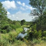 Beautiful landscapes surround The Wallow Lodge
