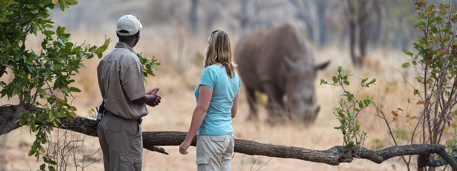 Toka Leya guided rhino tracking experience