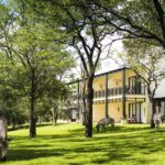 Zebra roaming in the grounds of the Royal Livingstone