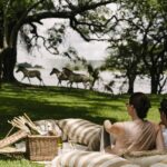 Decadent picnics can be arranged on Royal Livingstone's magnificent lawns