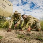 Guides from Bushman Plains Camp tracking spoor