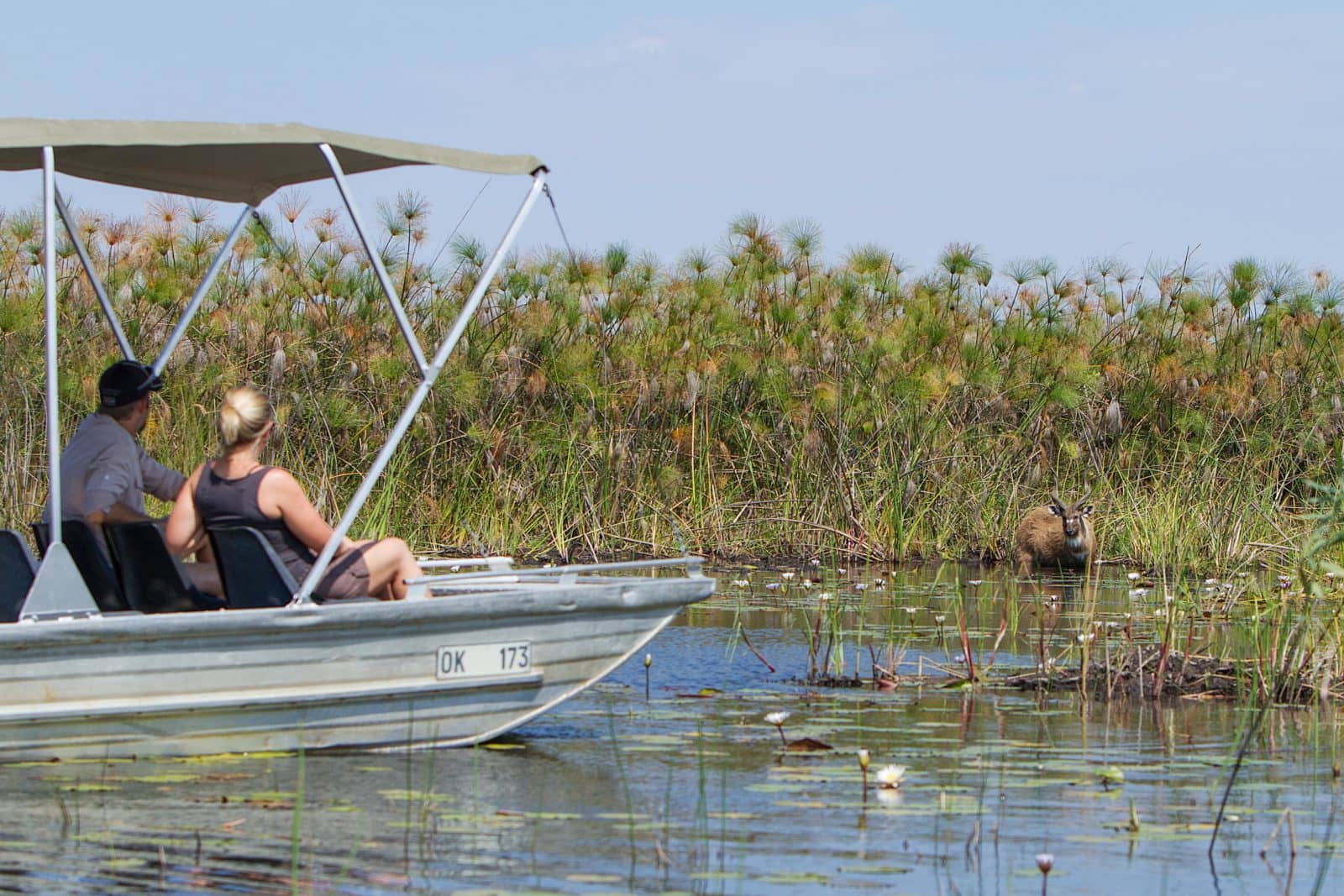 Camp Okavango offers boating and mokoro excursion to guests o