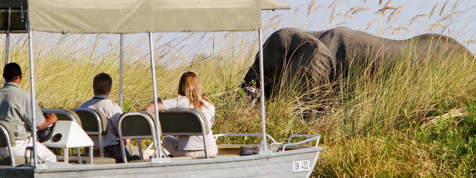Close up elephant sighting on boat safari from Camp Okavango