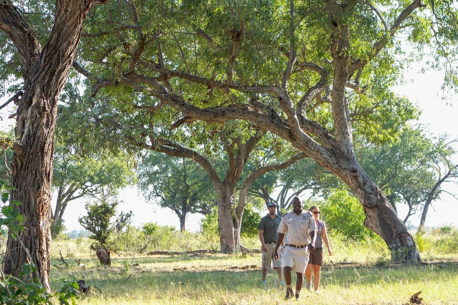 Camp Okavango guests on a guided walking excursion