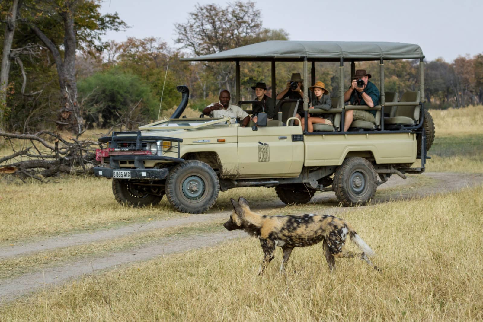 Botswana family safari vehicle approaching African Wild Dog