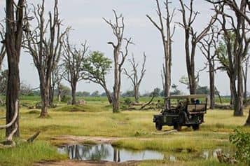Safari vecicle exploring the wilderness in Xakanaka