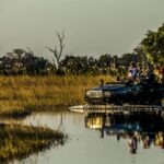 Guests at Duba Plains Suite have a private vehicle and guide and complete flexibility