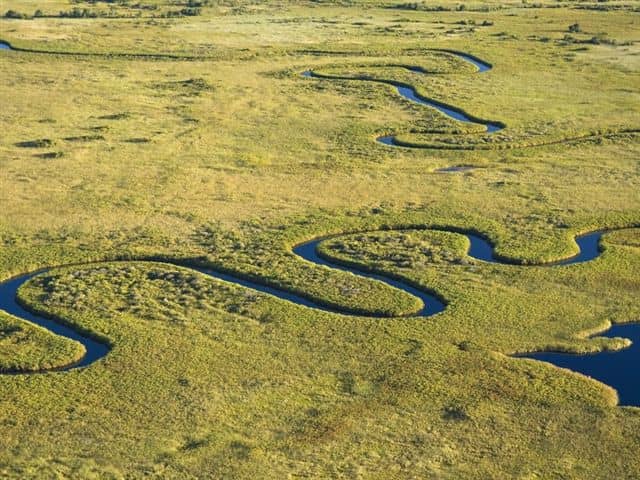 Beautiful aerial view of Duba Plains concession