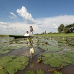 Muchenje mokoro excursion among the lily pads