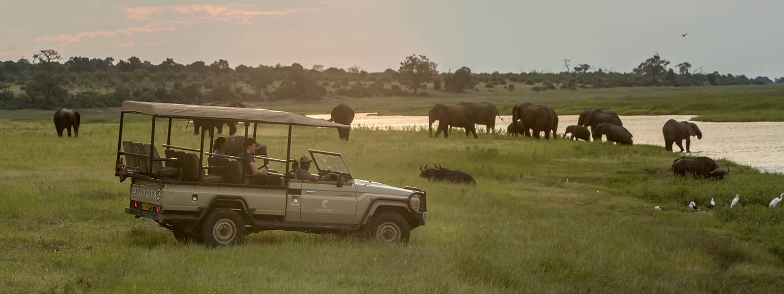 Game drive while at Muchenje