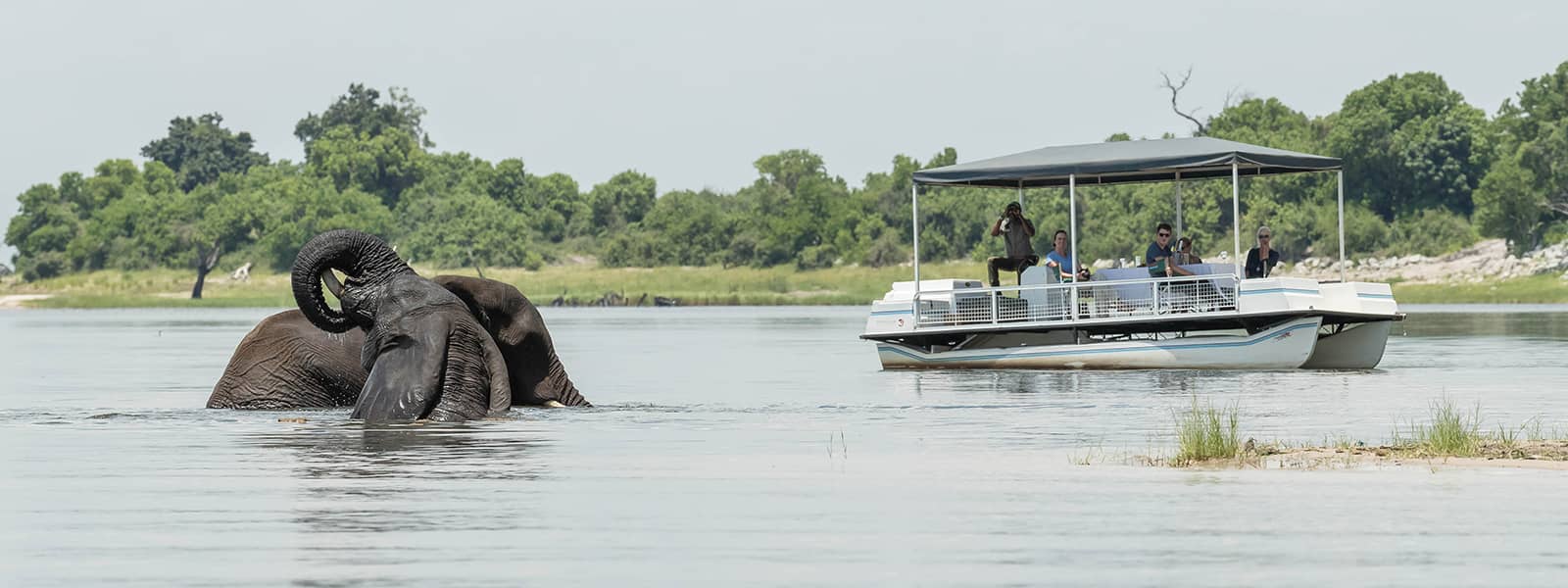 Boating on the Chobe River while at Muchenje