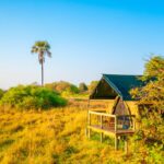 Oddballs Enclave elevated tent deck