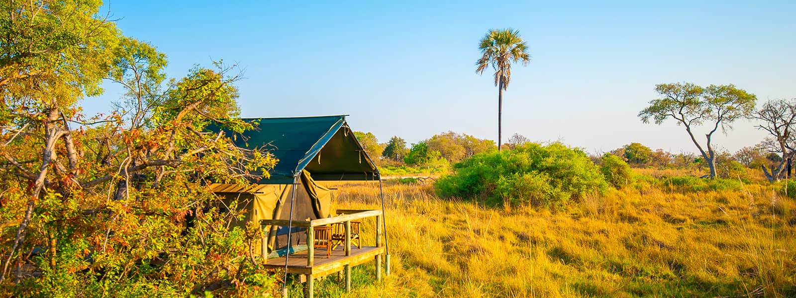 Elevated guest tents at Oddballs Enclave