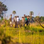 Oddballs Enclave guided walking safari