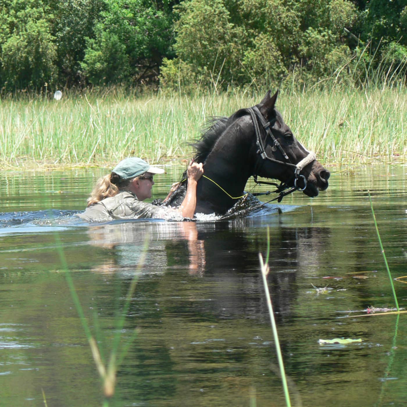 Crossing the waters on horseback is a thrilling experience to have in the Delta
