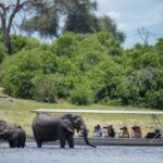 Boat safari excursions bring guests closer to nature and big game at the banks of the Chobe River