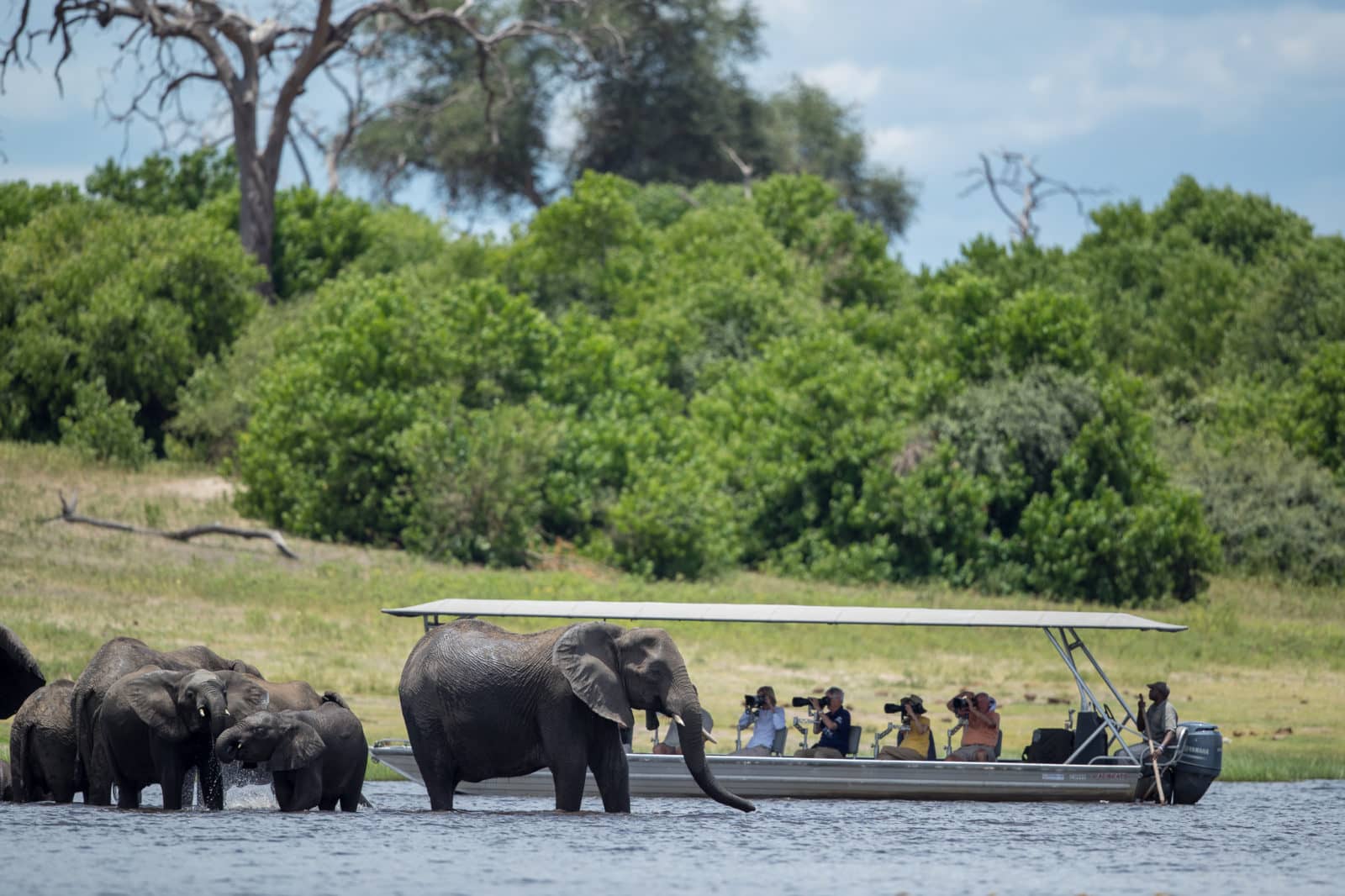 Boat safari excursions bring guests closer to nature and big game at the banks of the Chobe River