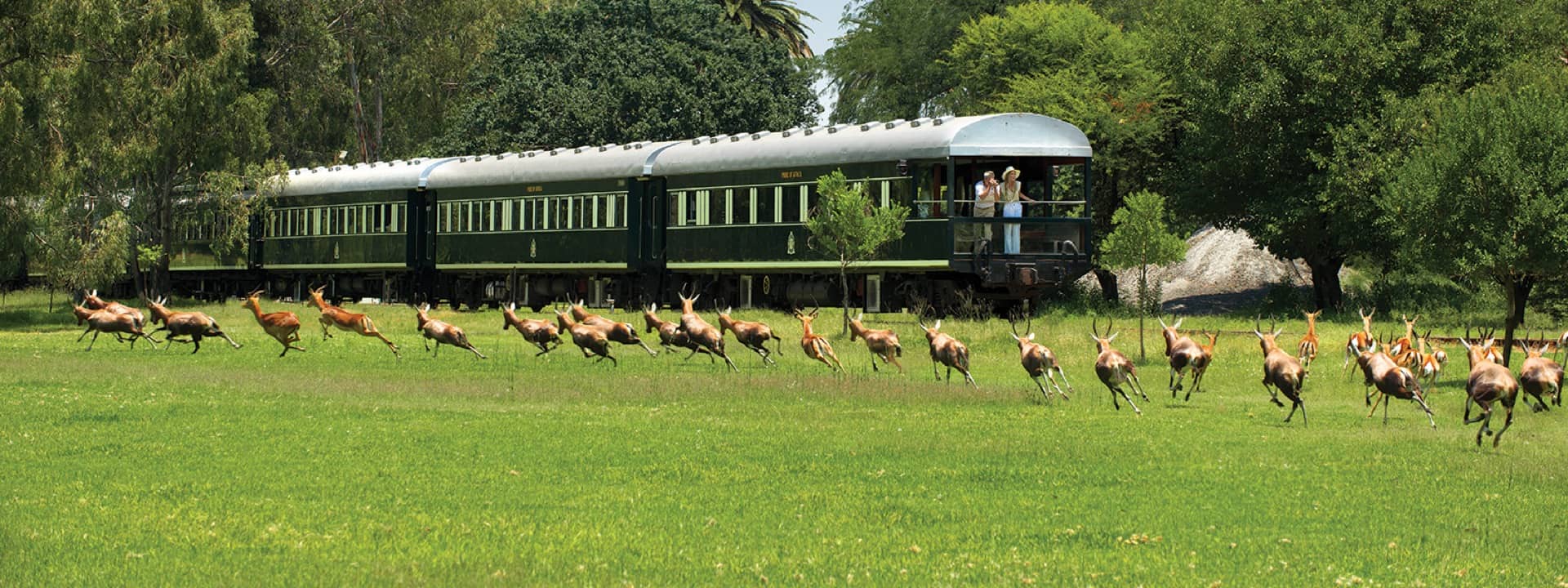 Observation deck on the Rovos Rail