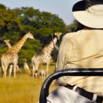Thamo Telele Lodge game drives in the company of giraffes