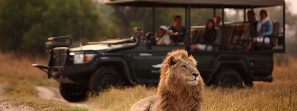 Game drive in sandibe okavango delta