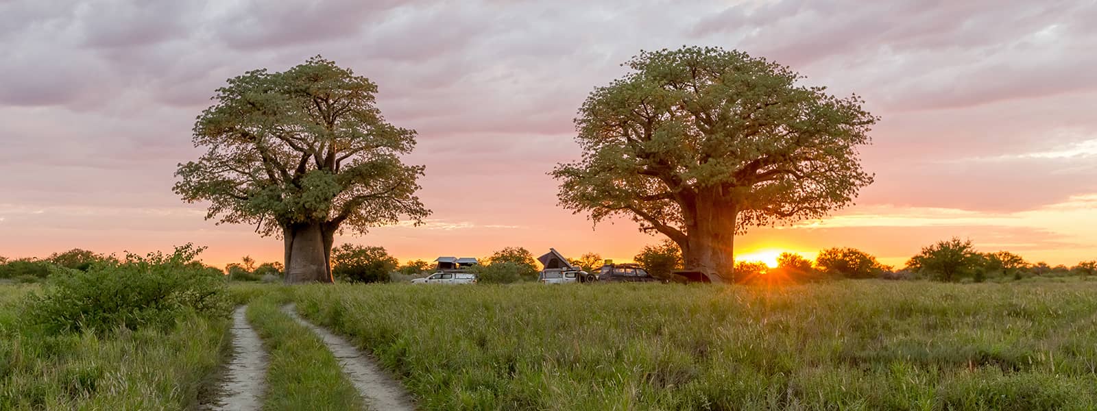 Botswana self drive safari