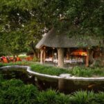 The lush gardens at Thamalakane River Lodge