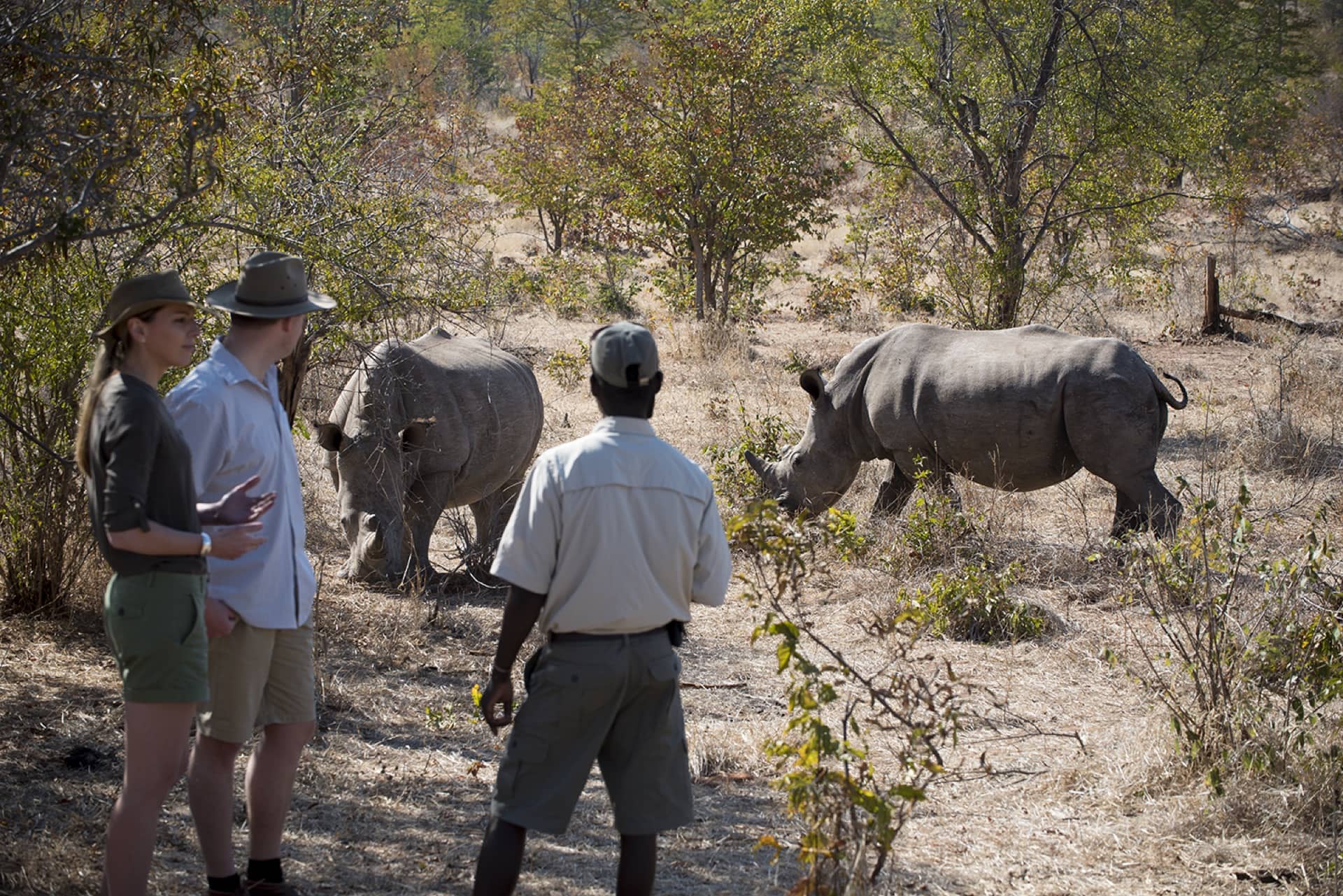 Rhino Tracking on the Zambezi